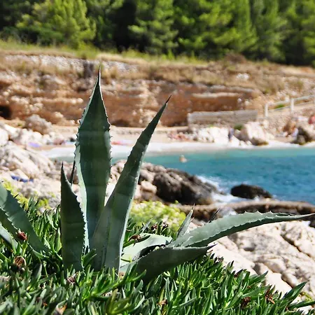 Lancek Appartement *