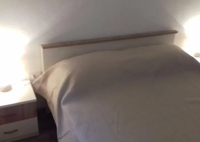 Lancek * 이반 돌라츠