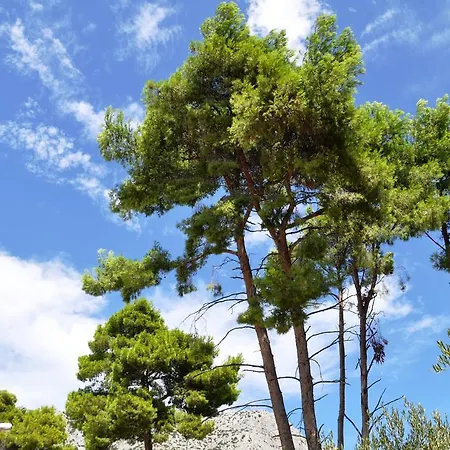 Διαμέρισμα Lancek Ivan Dolac